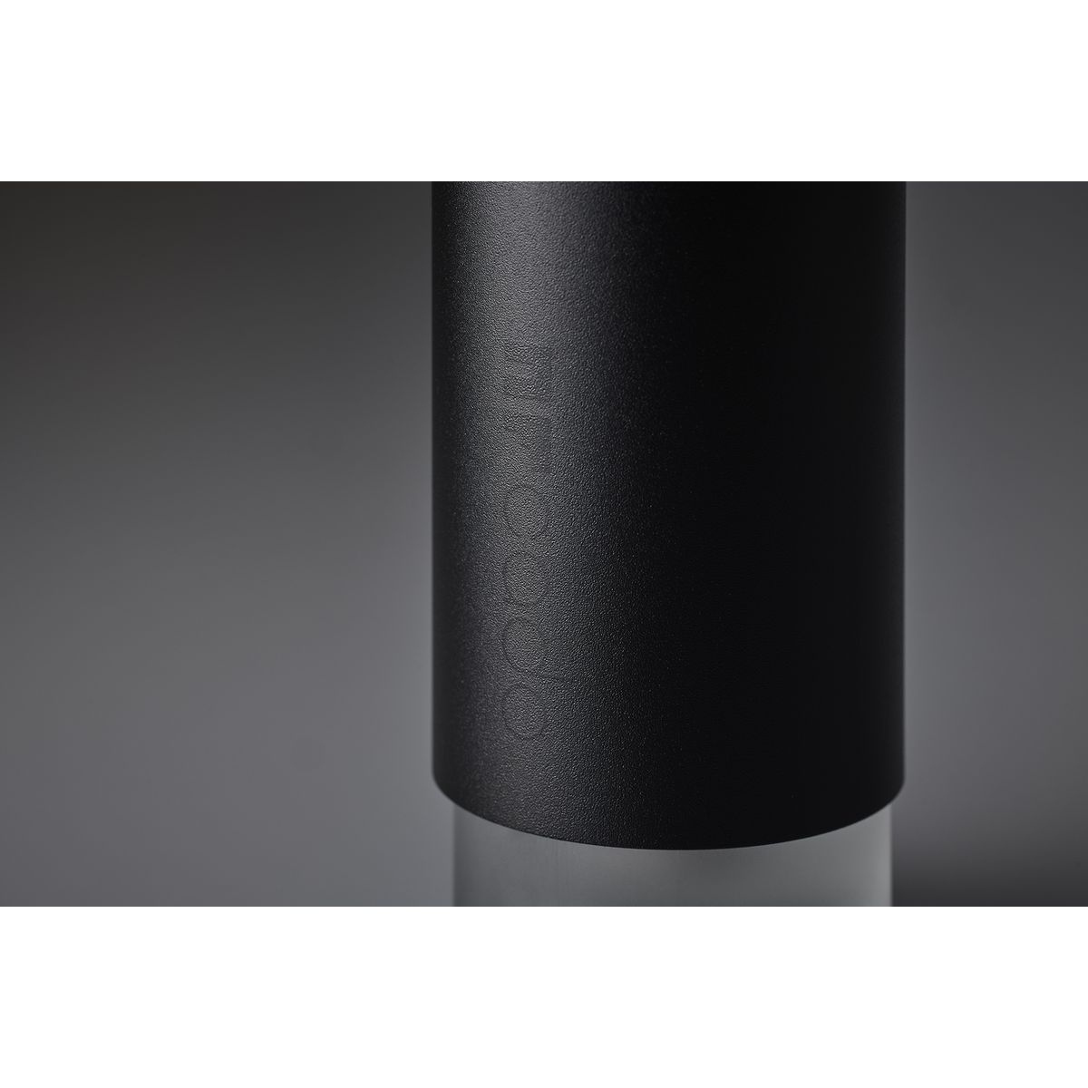 商品詳細ページ | sakanaction ONLINE STORE | 【一般販売】cado×NF