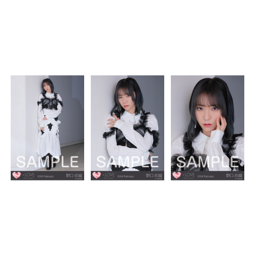 生写真セット（15thcw「狂想カタストロフィ」）