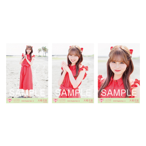 生写真セット（17thcw「海とレモンティー」）