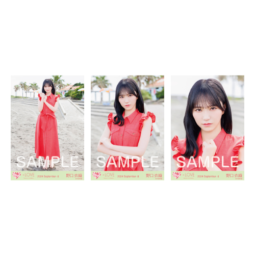 生写真セット（17thcw「海とレモンティー」）