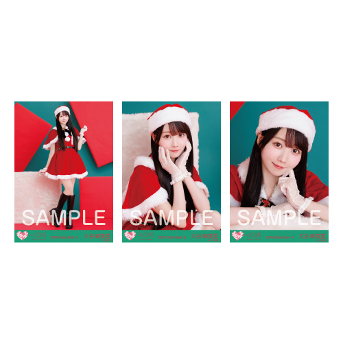 生写真セット（サンタ2024衣装）