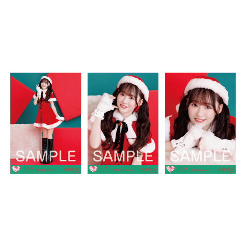 生写真セット（サンタ2024衣装）