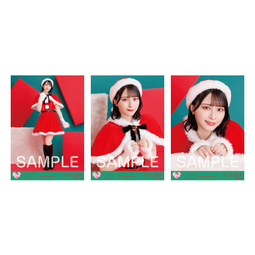 生写真セット（サンタ2024衣装）
