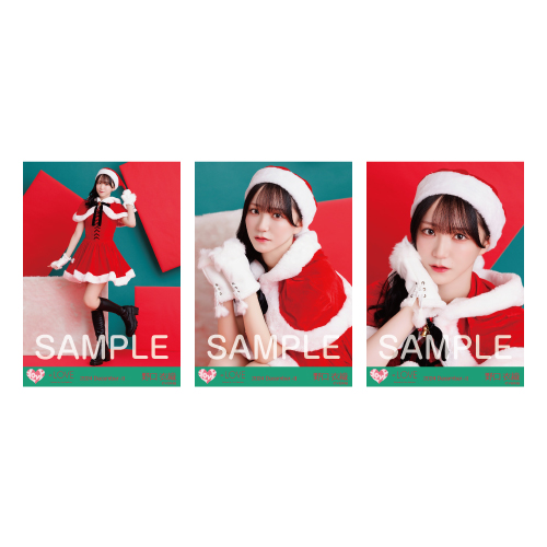生写真セット（サンタ2024衣装）