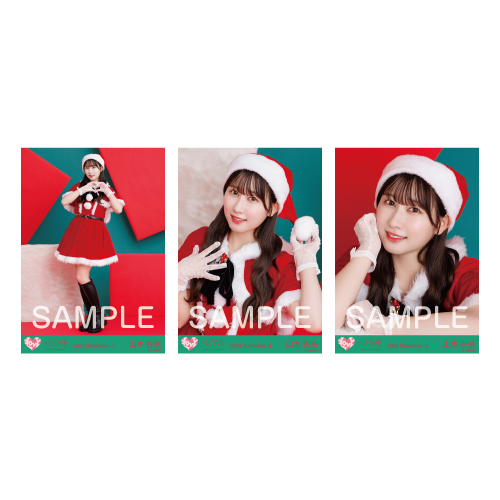 生写真セット（サンタ2024衣装）
