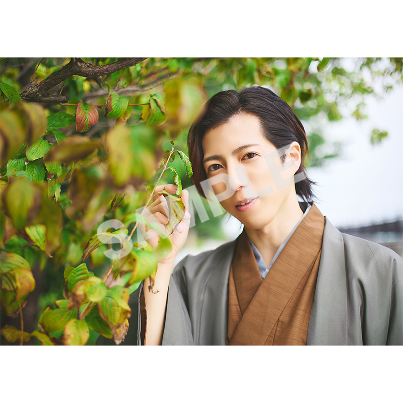 【Apollo Bay】石川翔 個人ブロマイド67