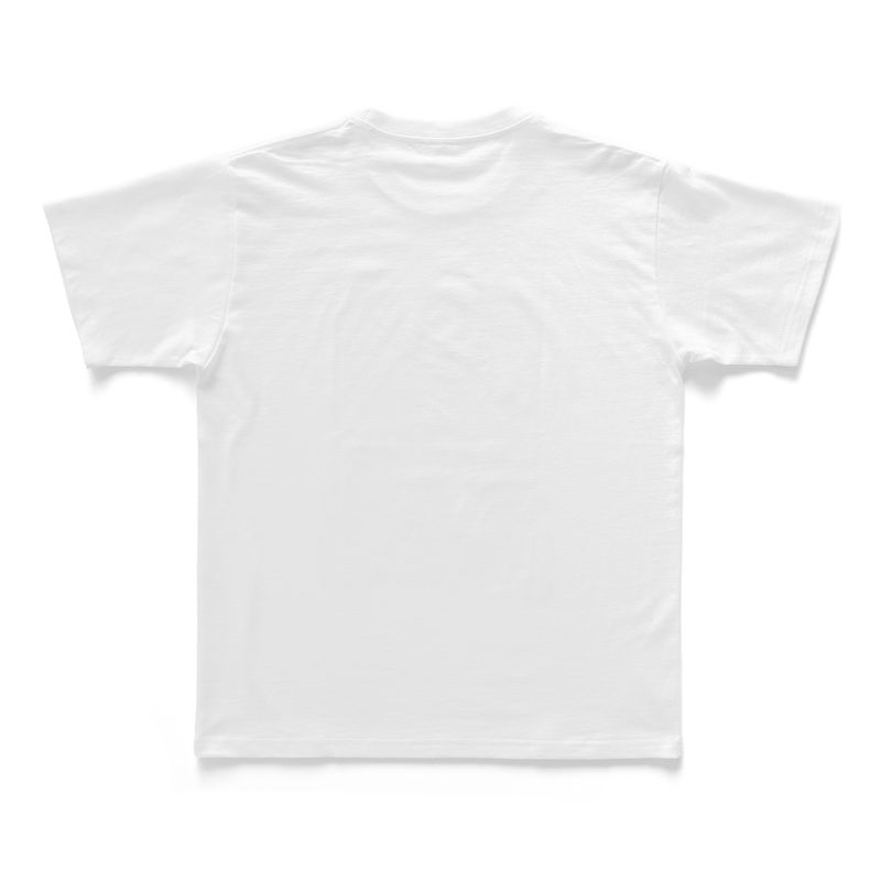 依与吏エゴカオスT　WHT