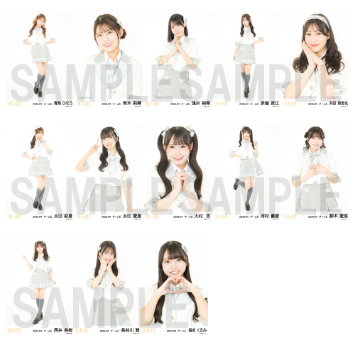 2026年4月度 チーム別ランダム生写真セット(チームE)