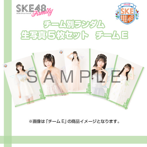 【ランダム当たり付き！】【SKE48 Family会員限定】Vol.13 A-Type チーム別ランダム生写真セット チームE