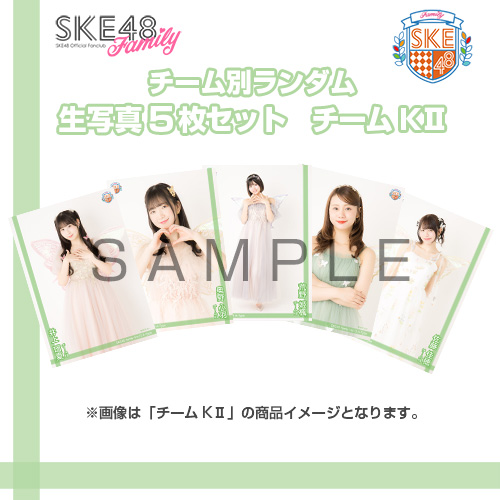 【ランダム当たり付き！】【SKE48 Family会員限定】Vol.13 A-Type チーム別ランダム生写真セット チームKII