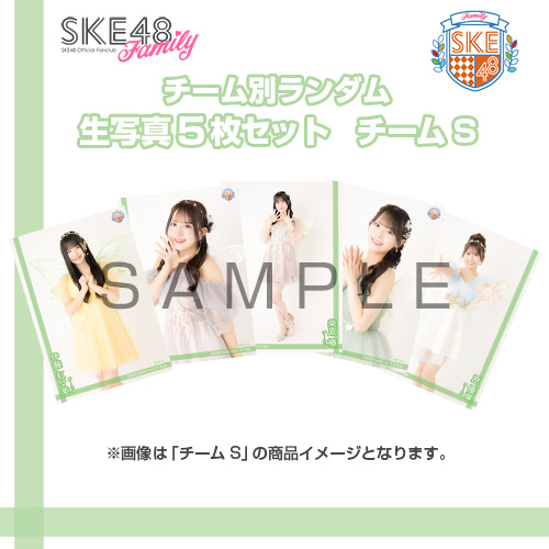 【ランダム当たり付き！】【SKE48 Family会員限定】Vol.13 A-Type チーム別ランダム生写真セット チームS