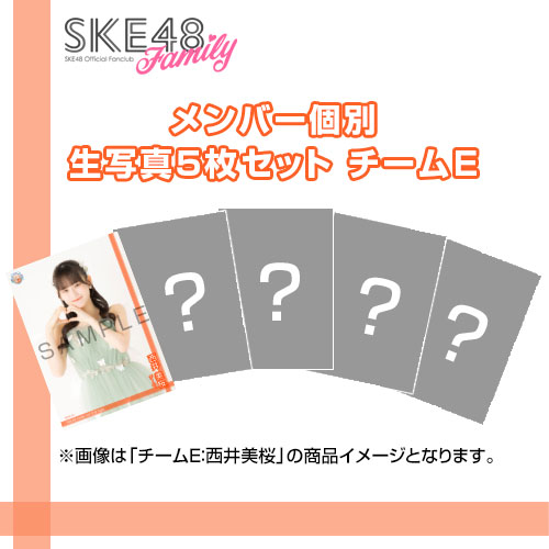 【SKE48 Family会員限定】Vol.13 B-Type メンバー個別生写真セット チームE