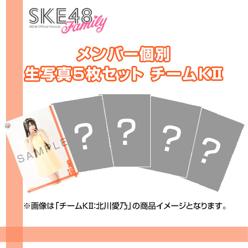 【SKE48 Family会員限定】Vol.13 B-Type メンバー個別生写真セット チームKII