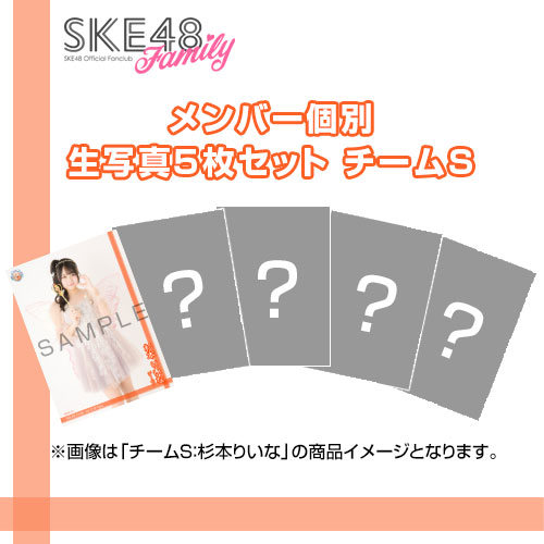 【SKE48 Family会員限定】Vol.13 B-Type メンバー個別生写真セット チームS