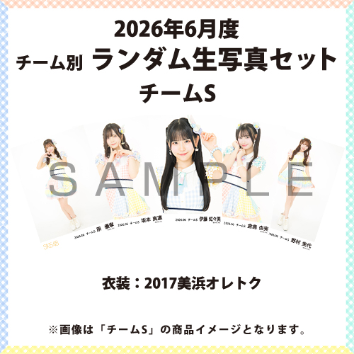 2026年6月度 チーム別ランダム生写真セット(チームS)