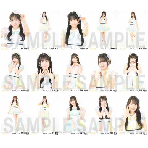 2026年6月度 チーム別ランダム生写真セット(チームS)