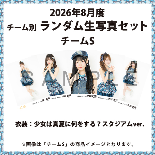 2026年8月度 チーム別ランダム生写真セット(チームS)