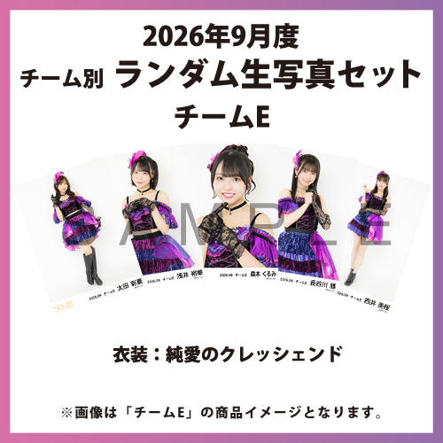 2026年9月度 チーム別ランダム生写真セット(チームE)