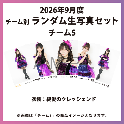 2026年9月度 チーム別ランダム生写真セット(チームS)