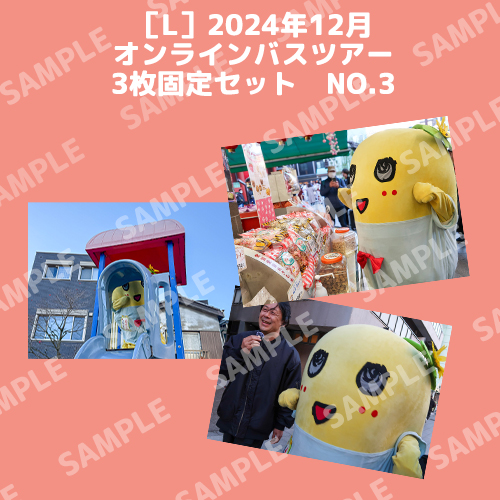 2024年12月オンラインバスツアー L版3枚セットNO.3 メイン