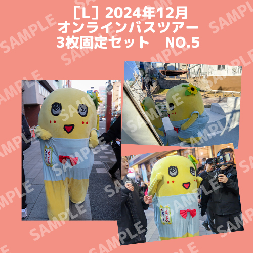 2024年12月オンラインバスツアー L版3枚セットNO.5 メイン