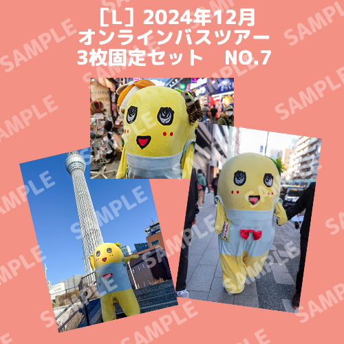 2024年12月オンラインバスツアー L版3枚セットNO.7 メイン