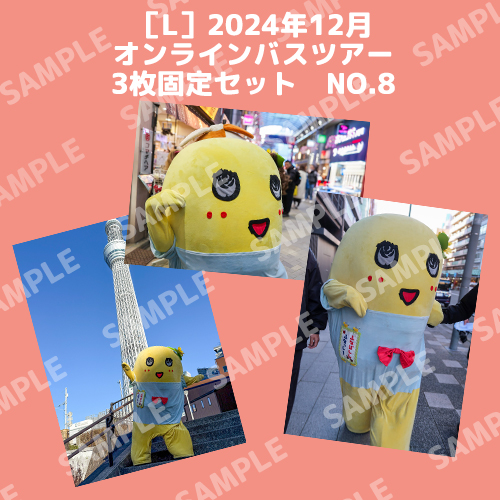 2024年12月オンラインバスツアー L版3枚セットNO.8 メイン