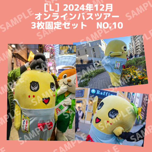 2024年12月オンラインバスツアー L版3枚セットNO.10 メイン