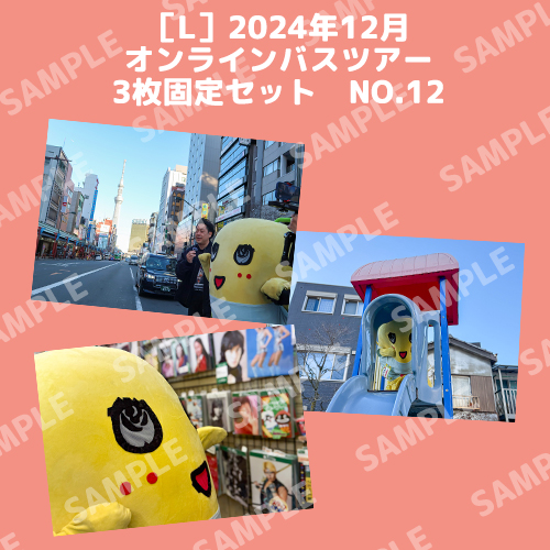 2024年12月オンラインバスツアー L版3枚セットNO.12 メイン