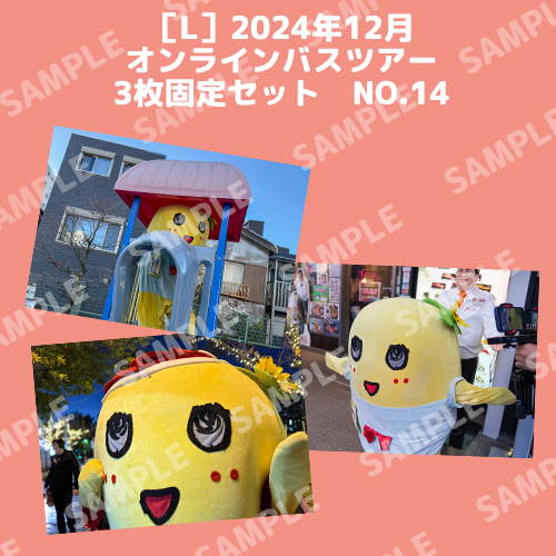 2024年12月オンラインバスツアー L版3枚セットNO.14 メイン