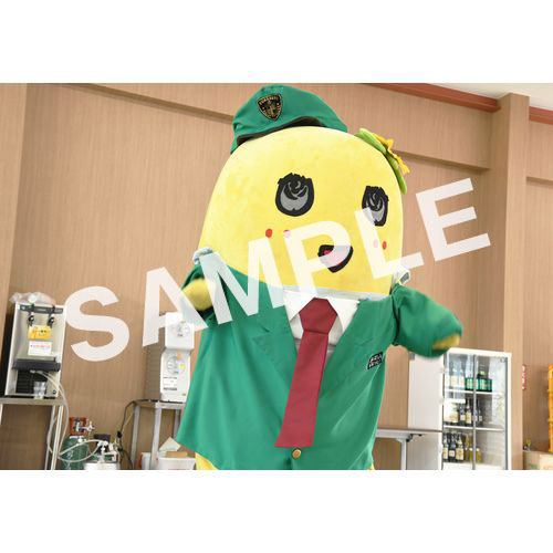 【274ch.会員限定】2023年12月バスツアー L版5枚セットNO.3 メイン