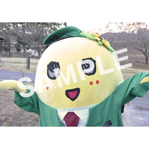 【274ch.会員限定】2023年12月バスツアー L版5枚セットNO.5 メイン