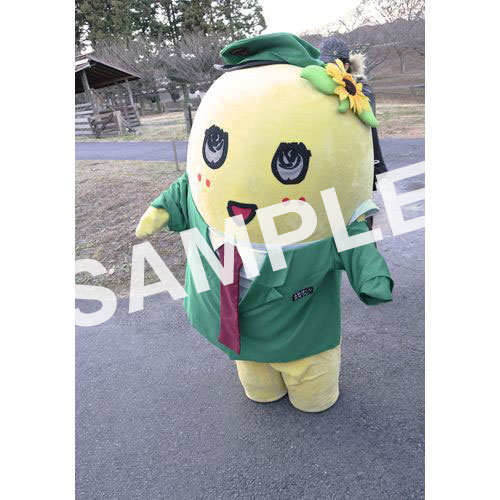 【274ch.会員限定】2023年12月バスツアー L版5枚セットNO.6 メイン