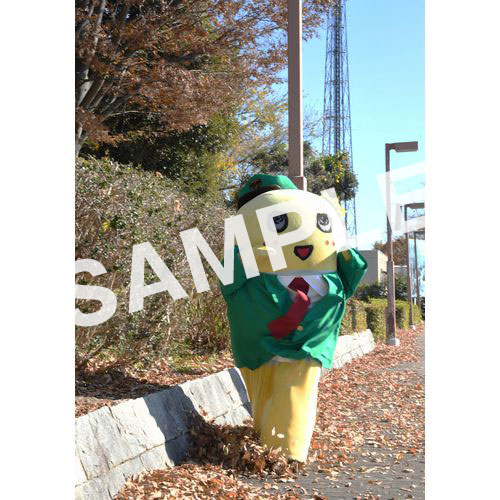 【274ch.会員限定】2023年12月バスツアー L版5枚セットNO.7 メイン