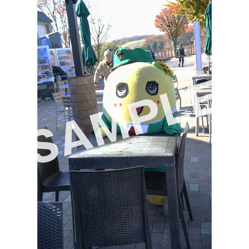 【274ch.会員限定】2023年12月バスツアー L版5枚セットNO.8 メイン