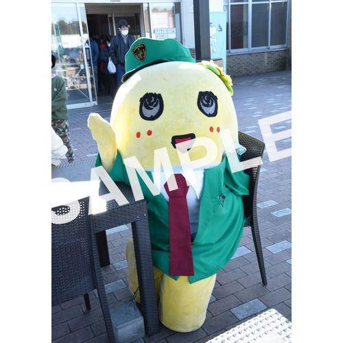 【274ch.会員限定】2023年12月バスツアー L版5枚セットNO.15 メイン