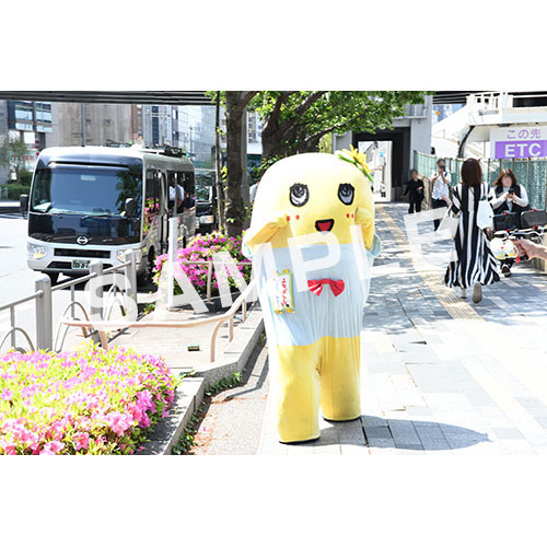 【274ch.会員限定】2024年4月バスツアー L版5枚セットNO.1 メイン