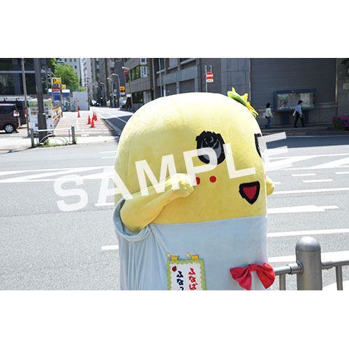 【274ch.会員限定】2024年4月バスツアー L版5枚セットNO.3 メイン