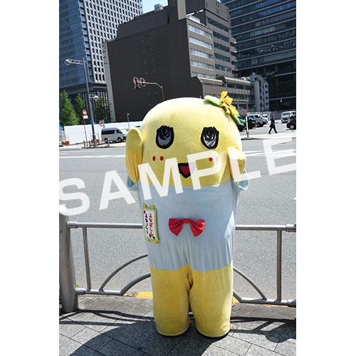 【274ch.会員限定】2024年4月バスツアー L版5枚セットNO.5 メイン