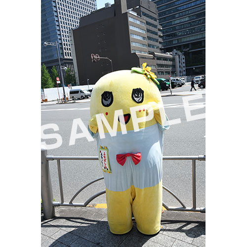 【274ch.会員限定】2024年4月バスツアー L版5枚セットNO.6 メイン