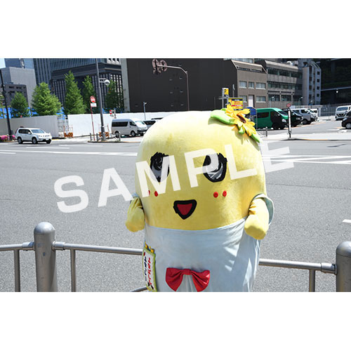 【274ch.会員限定】2024年4月バスツアー L版5枚セットNO.7 メイン