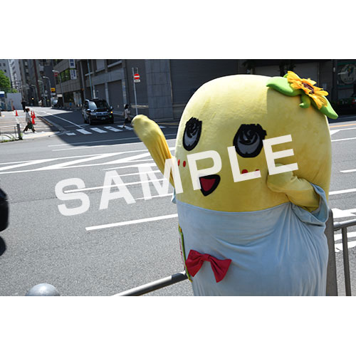 【274ch.会員限定】2024年4月バスツアー L版5枚セットNO.8 メイン