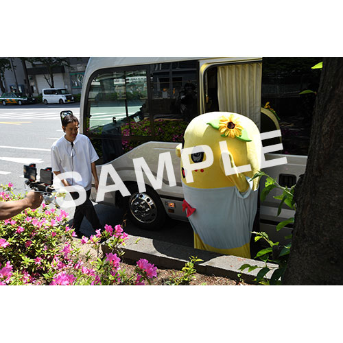 【274ch.会員限定】2024年4月バスツアー L版5枚セットNO.13 メイン