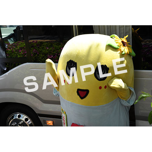 【274ch.会員限定】2024年4月バスツアー L版5枚セットNO.14 メイン