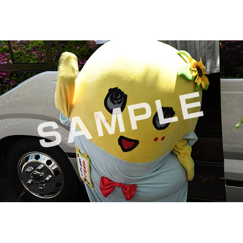 【274ch.会員限定】2024年4月バスツアー L版5枚セットNO.15 メイン