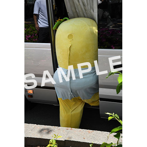 【274ch.会員限定】2024年4月バスツアー L版5枚セットNO.16 メイン