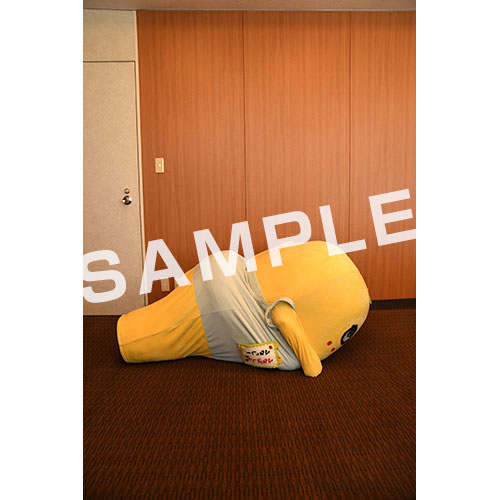 【274ch.会員限定】2024年4月バスツアー L版5枚セットNO.19 メイン