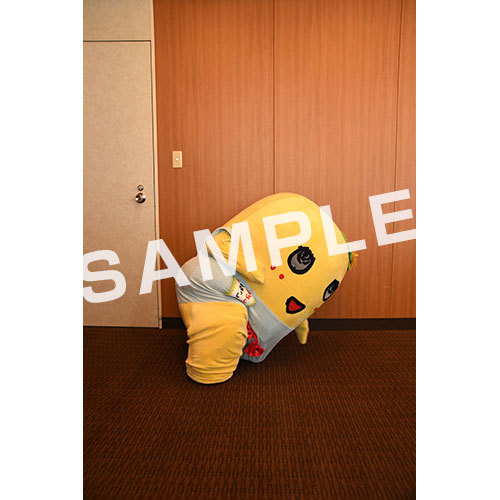 【274ch.会員限定】2024年4月バスツアー L版5枚セットNO.20 メイン