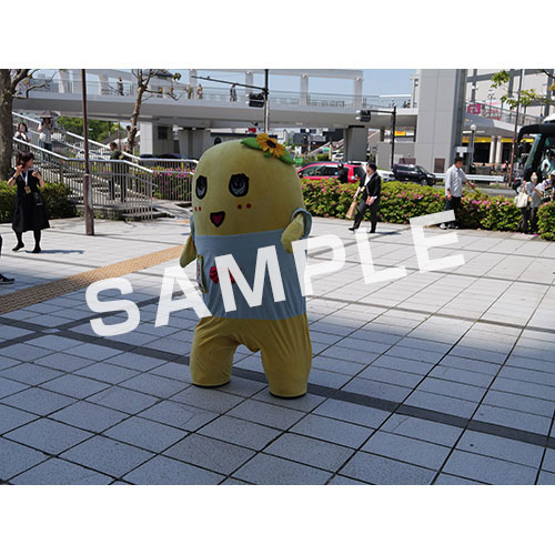 【274ch.会員限定】2024年4月バスツアー L版5枚セットNO.22 メイン