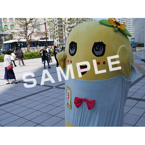 【274ch.会員限定】2024年4月バスツアー L版5枚セットNO.23 メイン